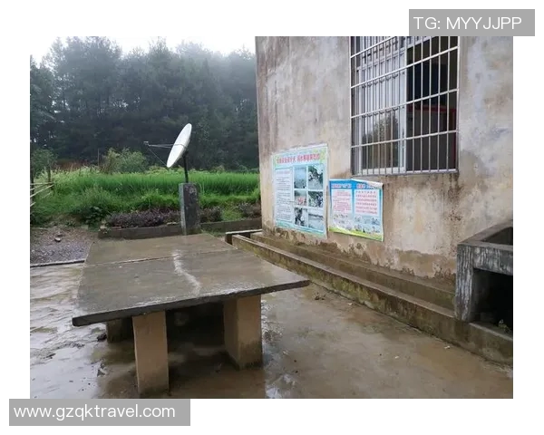 黄静的乒乓球人生：从梦想起航到世界舞台的深度对话与反思